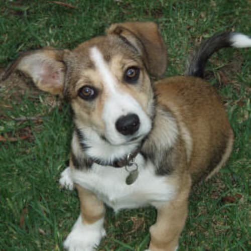 Missie