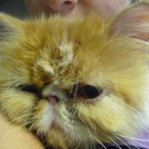 No photo for Hamish