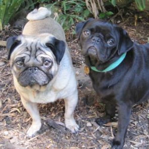 No photo for Willie & Missy