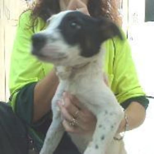 No photo for Tim Tam On Hold