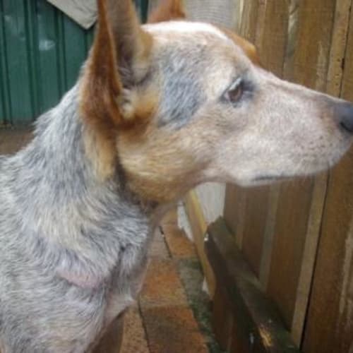 No photo for Zina On Trial