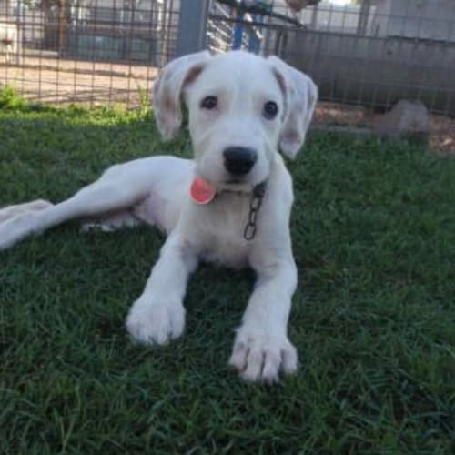 No photo for Crystal