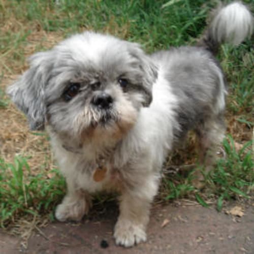 Keiko