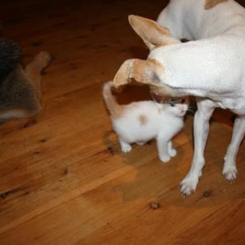 No photo for Jessica