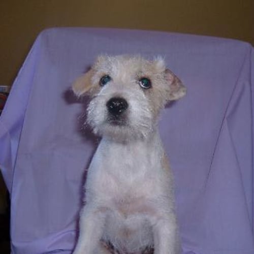 No photo for Stanley