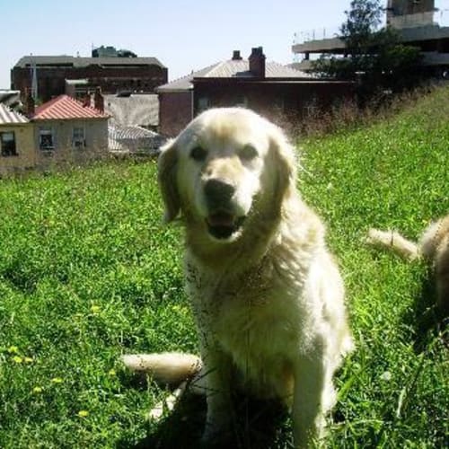 No photo for Bell & Oscar