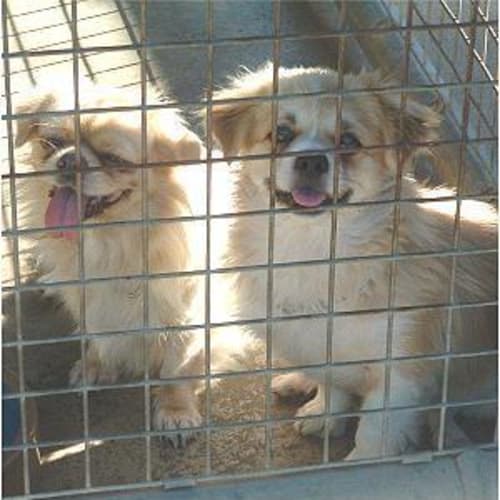 No photo for Prince & Chrissy