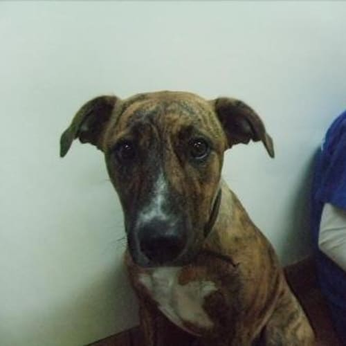 No photo for A6122   Stephie