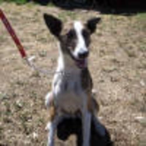 No photo for 670901.0