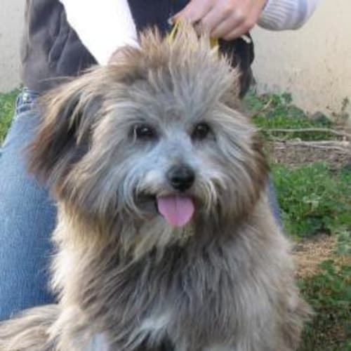 No photo for Captain