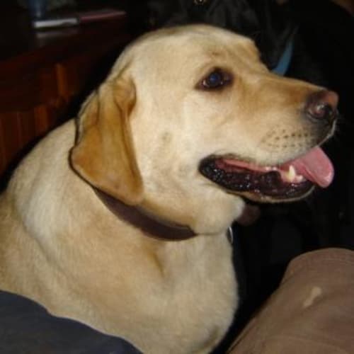 No photo for Jackson