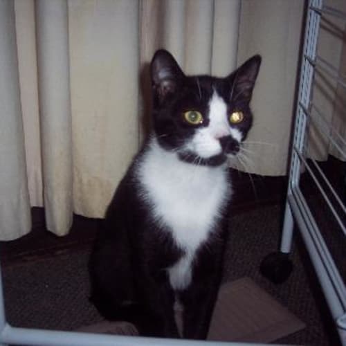 No photo for Sebastian