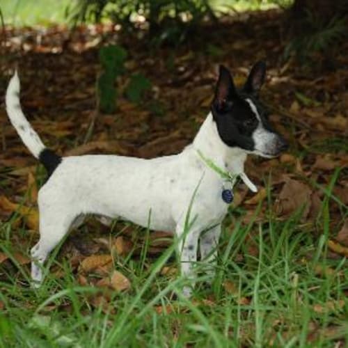 No photo for Winston