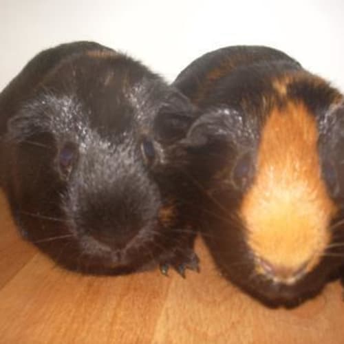 No photo for Edward And Duncan