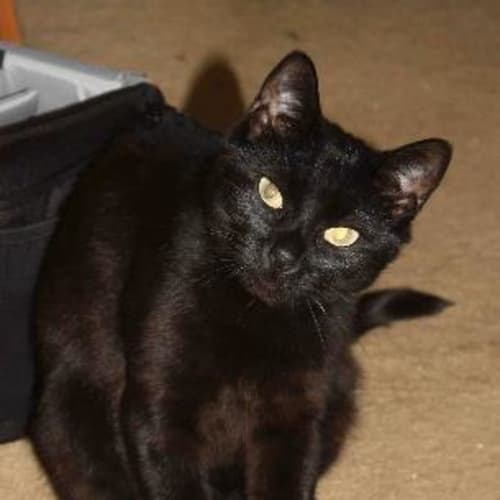 No photo for Betty