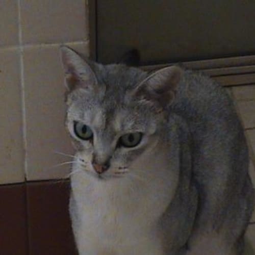 No photo for Ellie