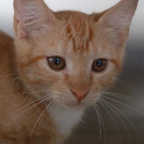 No photo for Frederick