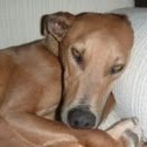 No photo for Kendall