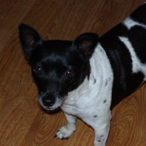 No photo for Trinny On Trial