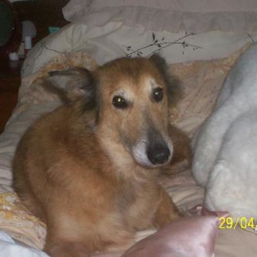 Grandma Paula 'Sadly Grandma Pass Away Today'