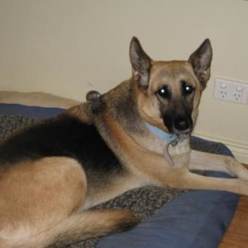 Roma Is On Trial With Her New Family