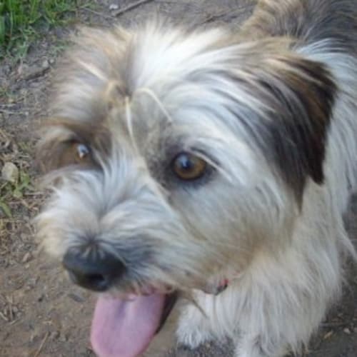 No photo for Lucy On Trial