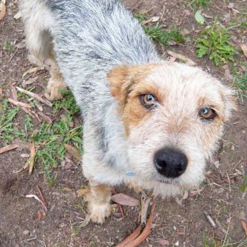 No photo for Bobbi