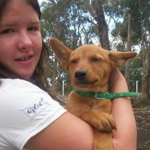 No photo for Clancy   Adopted