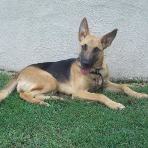 Tahra - On Trial With Her New Family