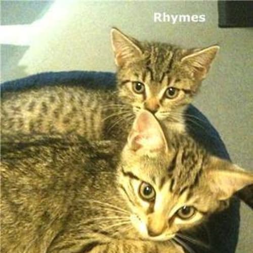 Buster & Rhymes