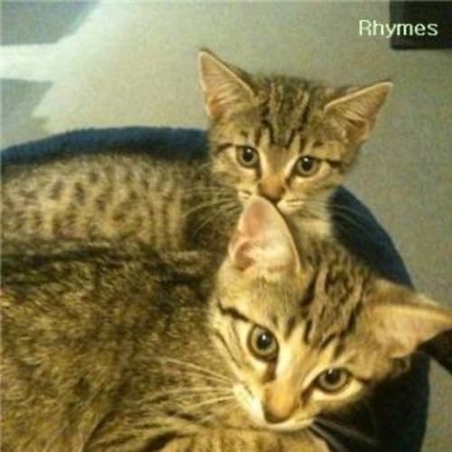 Buster & Rhymes