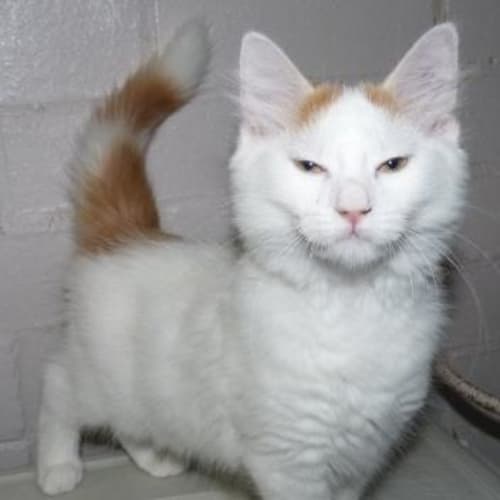 No photo for Scrumptious