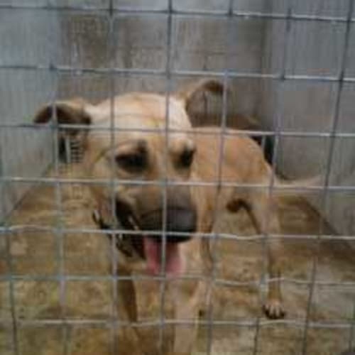 No photo for Urgent! Jake On Death Row.