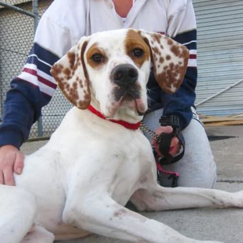 No photo for Caramel