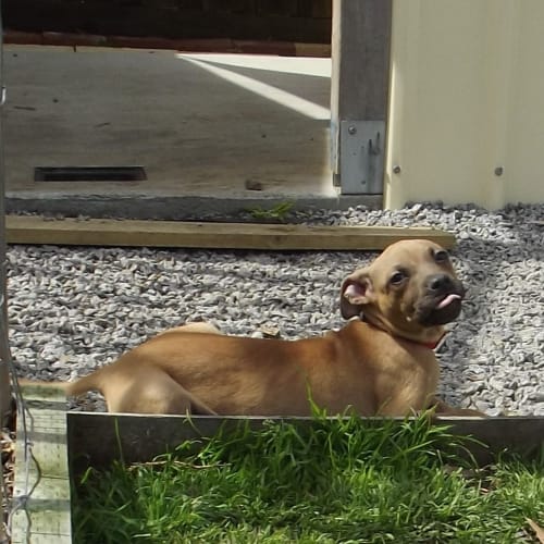 No photo for Karma