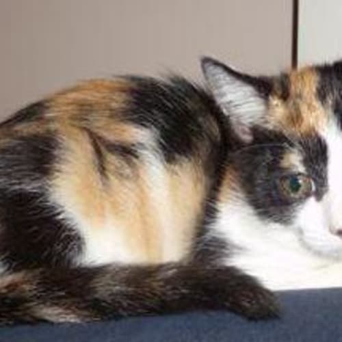 Milly (Aka Milster)