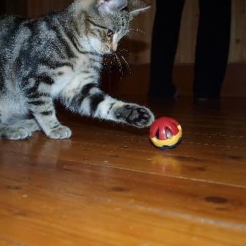 No photo for Luigi