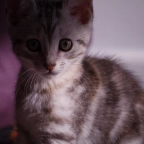 Thelma