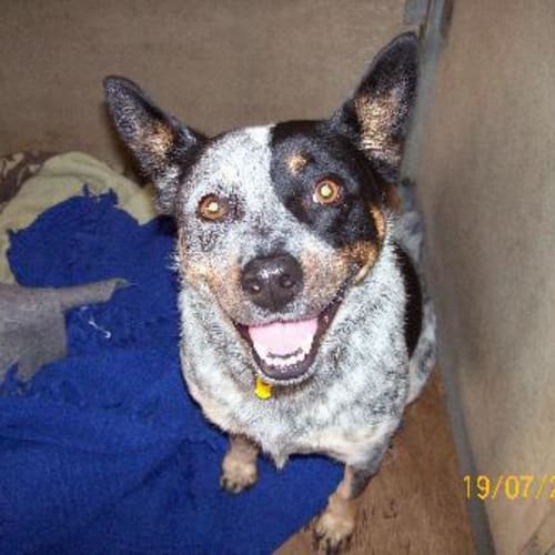 No photo for Priscilla