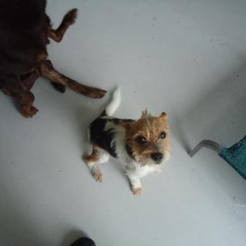 No photo for Wheeler