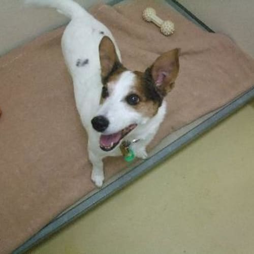 No photo for A6141   Billy