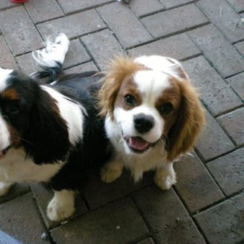 No photo for 3d  (3 Dots )