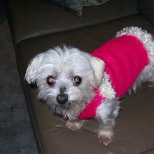 No photo for Little Lois