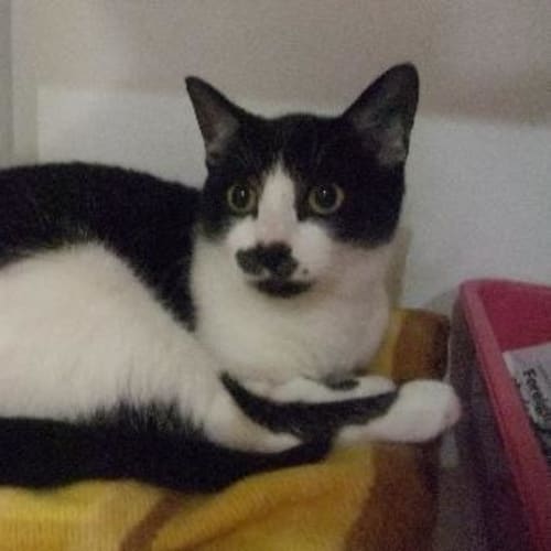 No photo for Billy   C7474