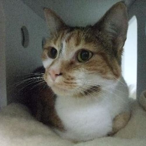 No photo for Messy   C5405