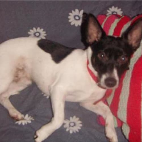 No photo for Grommet