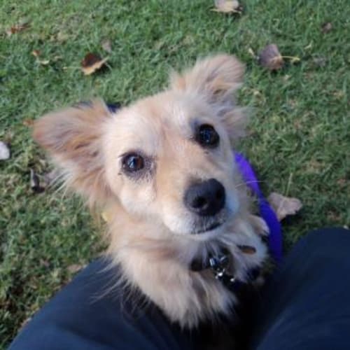 No photo for Crystal