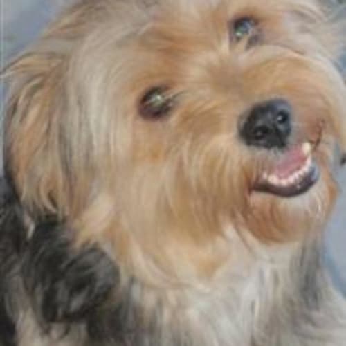 No photo for Winston