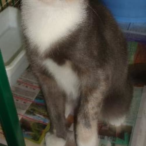 No photo for Bettina