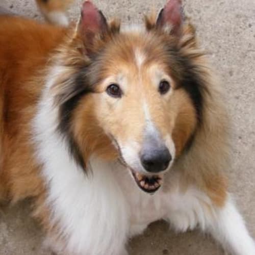 Kenzie *****On Hold*****